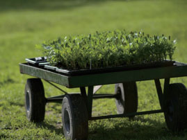 北京沃晟杰豐牌有機(jī)種植營(yíng)養(yǎng)土產(chǎn)品說(shuō)明書(shū)